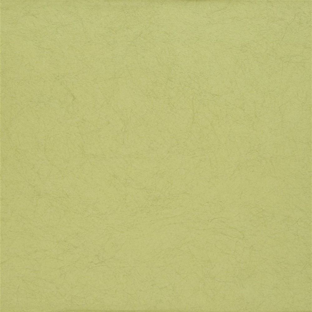 Ernani Plain Wallpaper P502 by Designers Guild in Moss Green